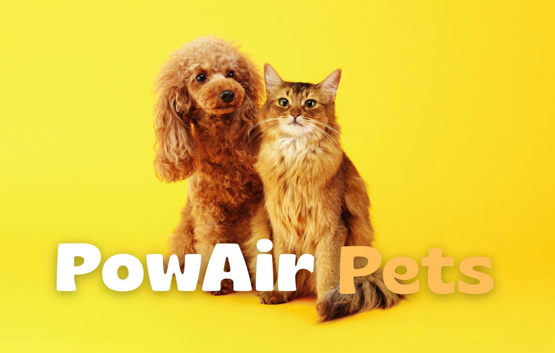 PowAir Pets