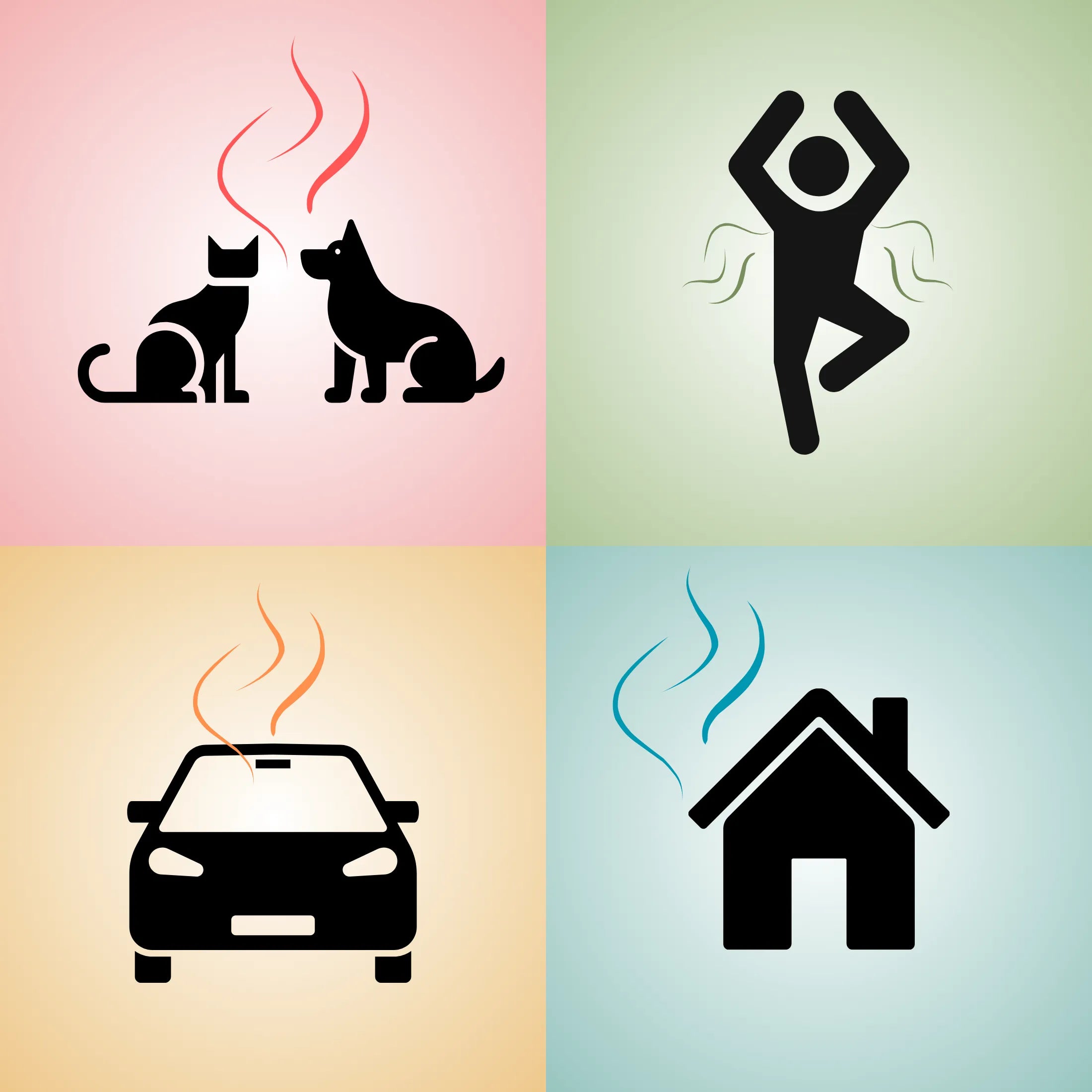 Grafik-Panel mit vier Symbolen zur Geruchsentfernung: Haustiere (Hund/Katze), Schweiß, Auto und Haus