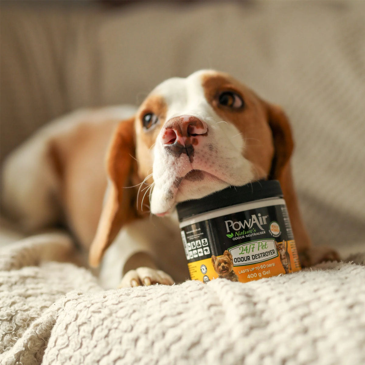 PowAir Gel Instant Odour Destroyer Enzymatischer Geruchsentferner 400g