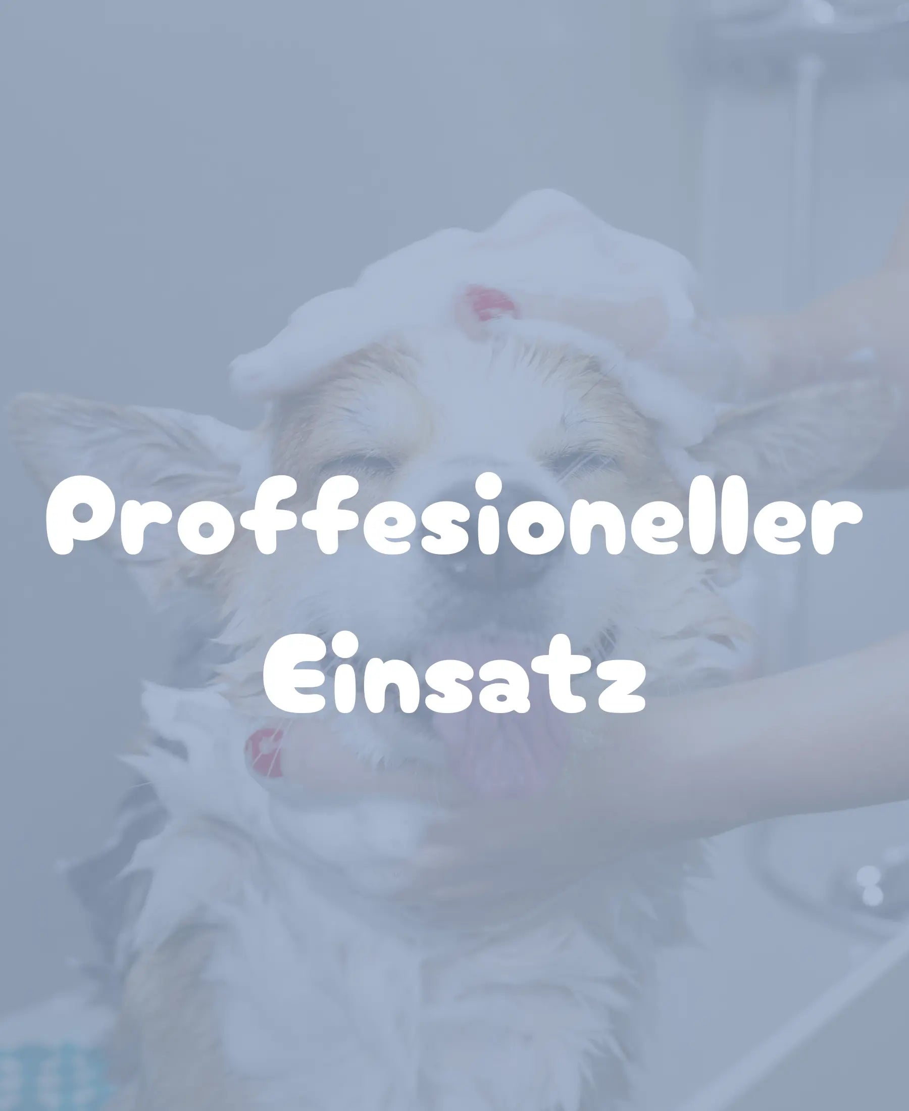 Ein Hund wird gebadet, um professionelle Anwendung von Tierpflegeprodukten zu zeigen