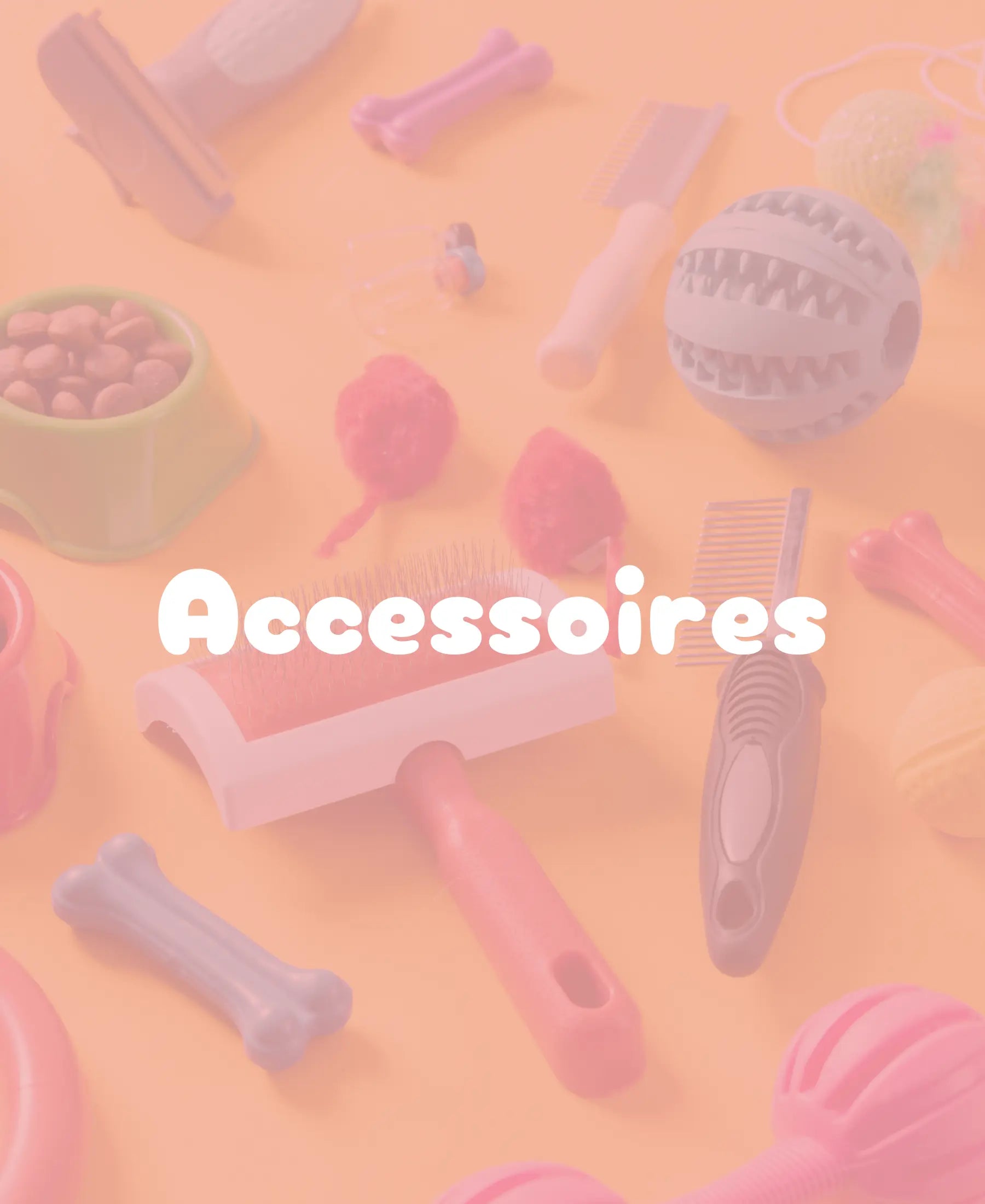 Draufsicht auf verschiedene Tier-Accessoires wie Bürsten und Spielzeug auf einem Untergrund