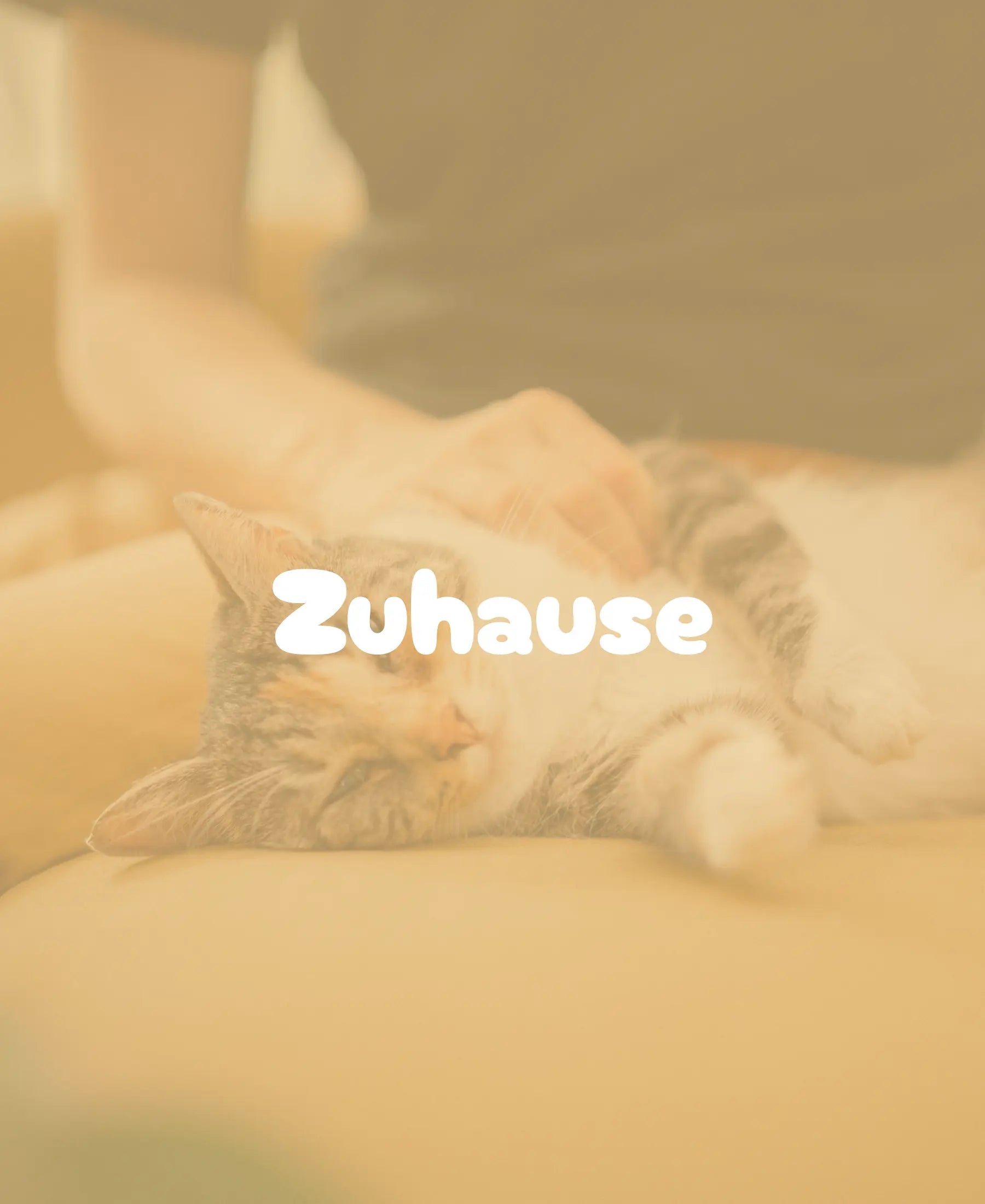 Eine Person streichelt eine Katze auf einem Sofa zur Darstellung von Heim-Anwendungen
